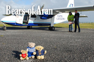 Bears of Aran