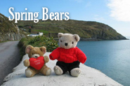 Spring Bears
