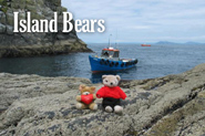 Island Bears