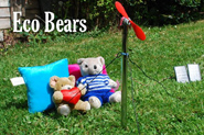 Eco Bears