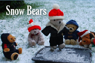 Snow Bears