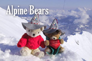 Alpine Bears