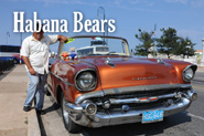 Habana Bears