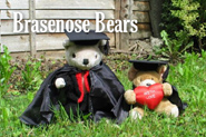 Brasenose Bears