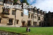 Academic Bears