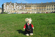 Bath Bears
