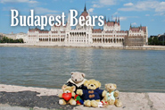 Budapest Bears