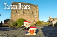 Tartan Bears