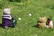 Beary Golfers